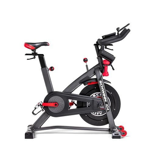 Schwinn - Bicicleta estacionaria para usar en interiores, Negro, L