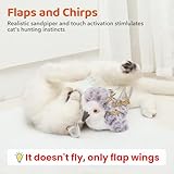 Potaroma Cat Toys Flapping Bird (No Flying), Lifelike Sandpiper Chirp Tweet, Rechargeable Touch Activated Kitten Toy Interactive Cat Exercise Toys for All Breeds Cat Kicker Catnip Toys 4.0"