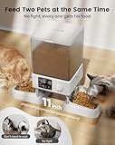 oneisall Comedero automático para gatos para 2 gatos, 20 tazas/5 litros dispensador automático de comida para gatos para mascotas pequeñas en interiores, comedero cronometrado para gatos para