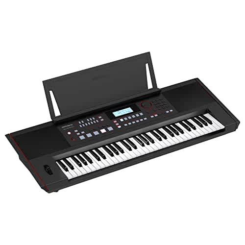 Roland E-X50 Electronic Arranger Keyboard – Easy-to-use | Stereo Speakers | Bluetooth | Professional Sounds | Mic Input | Auto-Accompaniment Function, Black