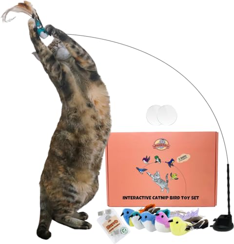 Whiskertons Juego de juguetes interactivos para gatos con hierba gatera, juguetes interactivos para gatos de interior, juguete de plumas de gato, base de succión autoportante, 5 pájaros, bolsas de