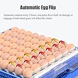 AJLDN Incubadora de 193 huevos con giro automático de huevos, incubadora de huevos con incubadoras de laboratorio de uso general con control de temperatura para pollos, patos, pájaros