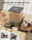 oneisall Comedero automático para gatos para 2 gatos, 20 tazas/5 L, dispensador automático de comida para gatos para mascotas pequeñas en interiores, comedero cronometrado para gatos para alimentos