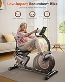 Niceday Recumbent Exercise Bike, Recumbent Bike for Home, Recumbent Stationary Bike 400LBS Weight Capacity, Magnetic Recumbent Bike with Smart APP, LCD Monitor, Heart Rate Handle