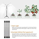 GHodec - Luz de cultivo de 4 cabezales con soporte, 80 LED 5500K, luz de espectro completo para plantas de interior, 5 niveles regulables y temporizador de encendido/apagado automático, soporte de trípode ajustable de 15 a 48 pulgadas