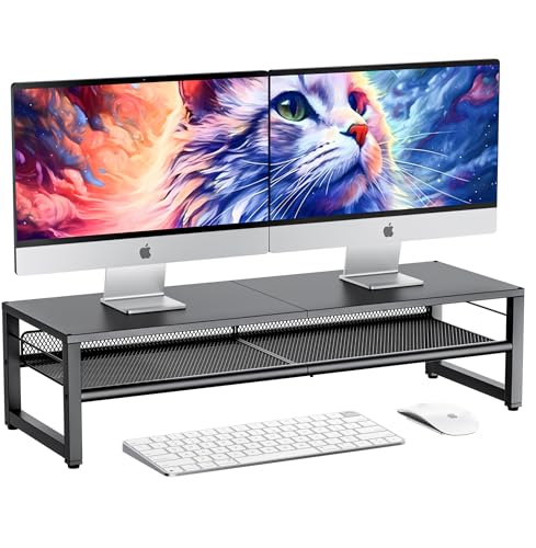 ECOLOVI 2-Tier Dual Monitor Stand Riser for Desk Organizer, Computer Stand for 2 Monitors, Computer Desk Accessories Peripherals & Workspace Desktop Organizer for Laptop, PC, Computer, Printer, Black