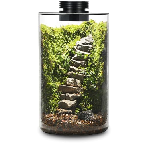 Terrario de plantas de vidrio de escritorio con luz de cultivo (H: 9.8 pulgadas de diámetro: 5.9 pulgadas), para suculentas, musgo, paisaje de jardinería en miniatura, tanque de peces Betta,