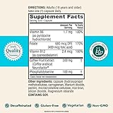 NEURIVA - Rendimiento cerebral Plus, suplemento de apoyo cerebral con ingredientes naturales clínicamente probados 1 pieza